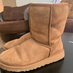 COPY - Chestnut classic uggs
